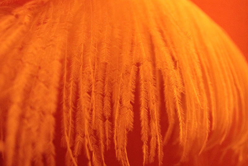 Úniková hra - Doupě neřesti - Obrázek 5