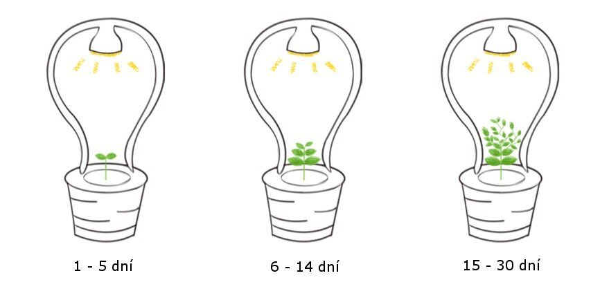 Květináč ONE s osvětlením pro rychlý růst bylinek