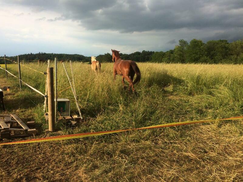 Den na ranči pro milovnici koní - Obrázek 2