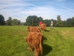 Farmářem na zkoušku – dvoudenní pobyt na statku + péče o zvířata