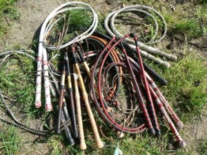 Kurz práskání bičem