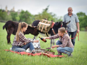 Oslí stezka Svárov – zažijte procházku/túru s oslíkem – Půldenní túra s oslíkem včetně pikniku – standardní výlet