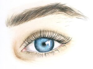 Online kurzy kreslení – 29 různých kurzů v pohodlí domova – Pastelkou moderně od začátku – online kurz