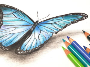 Online kurzy kreslení – 29 různých kurzů v pohodlí domova – Motýl pastelkou moderně a od začátku- online kurz