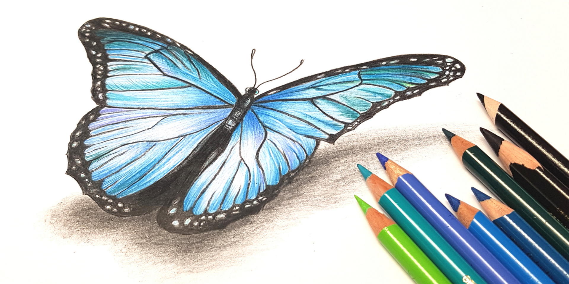 Online kurzy kreslení - 29 různých kurzů v pohodlí domova - Motýl pastelkou moderně a od začátku- online kurz