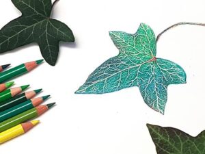 Online kurzy kreslení – 29 různých kurzů v pohodlí domova – Listy pastelkou moderně a od začátku – online kurz