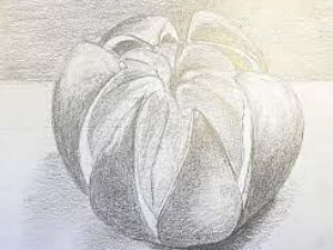 Online kurzy kreslení – 29 různých kurzů v pohodlí domova – Online kurz kreslení PMH – kresba pomeranče