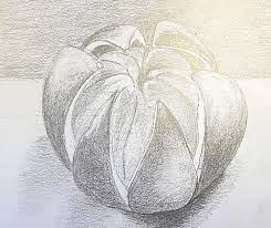 Online kurzy kreslení - 29 různých kurzů v pohodlí domova - Online kurz kreslení PMH - kresba pomeranče