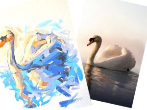 Online kurzy kreslení – 29 různých kurzů v pohodlí domova – Labuť akrylem na plátno – online kurz