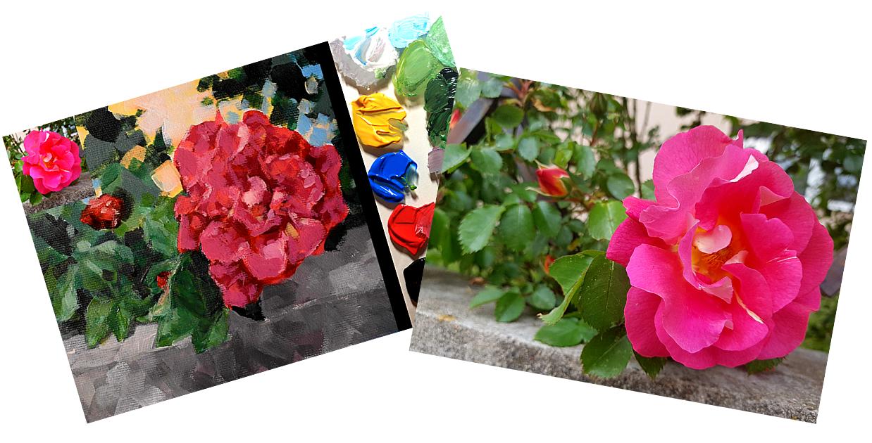 Online kurzy kreslení - 29 různých kurzů v pohodlí domova - Růže akrylem na plátno - online kurz