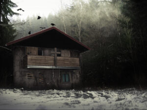 Úniková hra – Ester: Dům v temném lese