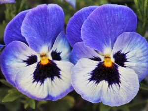 Bojovky – zábavné vycházky pro rodiče a děti od 6 let – Venkovní bojovka Cesta dvojiček