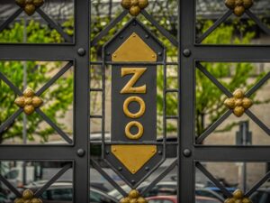 Gamebooky – Běhací zábavné hry s příběhem – Ředitel ZOO – pro děti od 4 let