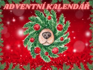 Hra na doma – Adventní kalendář