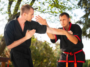 Kurz bojového umění Kung fu s Mistrem