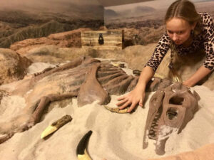 Úniková hra – Paleontolog