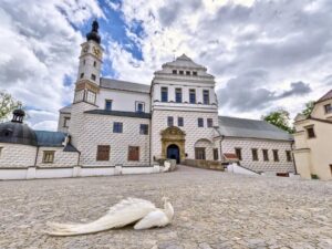 Venkovní úniková hra – Pardubice