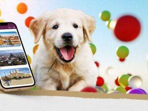 Hra pro děti na doma i na ven – Na stopě zmizelých štěňátek – Pro děti 5 – 9 let