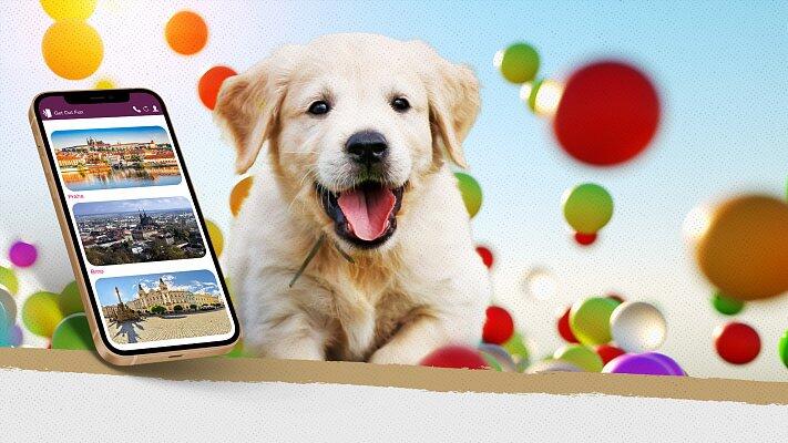 Hra pro děti na doma i na ven - Na stopě zmizelých štěňátek - Pro děti 5 - 9 let