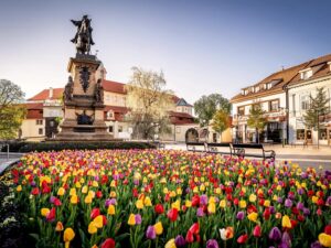 Dobrodružná venkovní hra pro děti ve městě Poděbrady – poznejte krásy lázeňského města