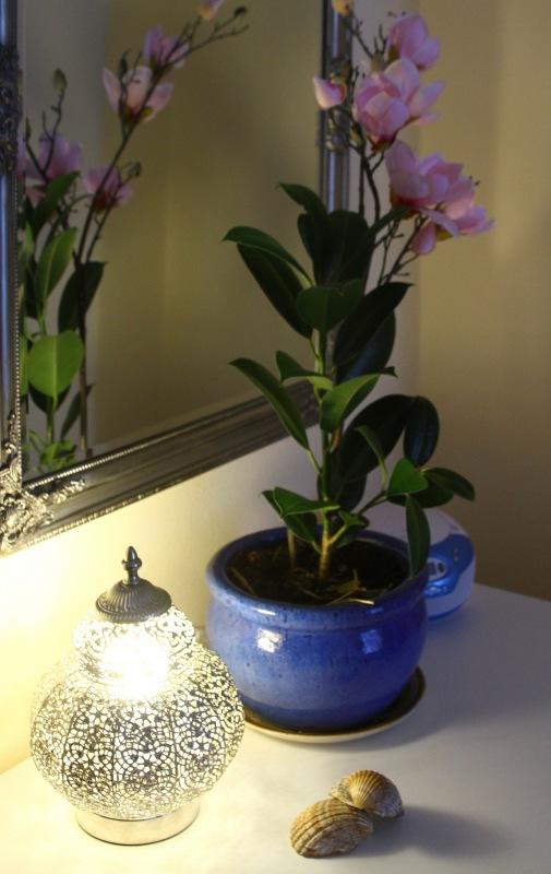 Masáže ve studiu Santé - centrum Masáže Praha - Čokoládová masáž - Obrázek 5