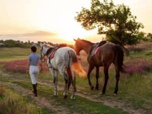 Výuka jízdy na koních na Farmě pod Hradem Dívčí Hrad