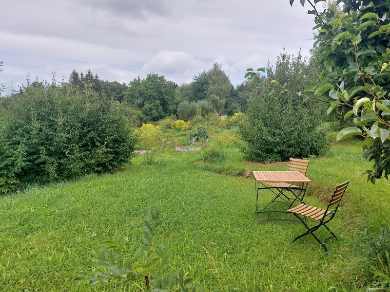 Jednodenní seminář Tai-chi a Čchi Kung - Obrázek 2