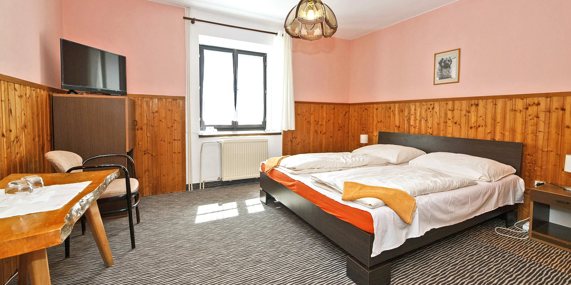 Farma u Znojma: strava i projížďka na koni či v kočáře - Obrázek 3