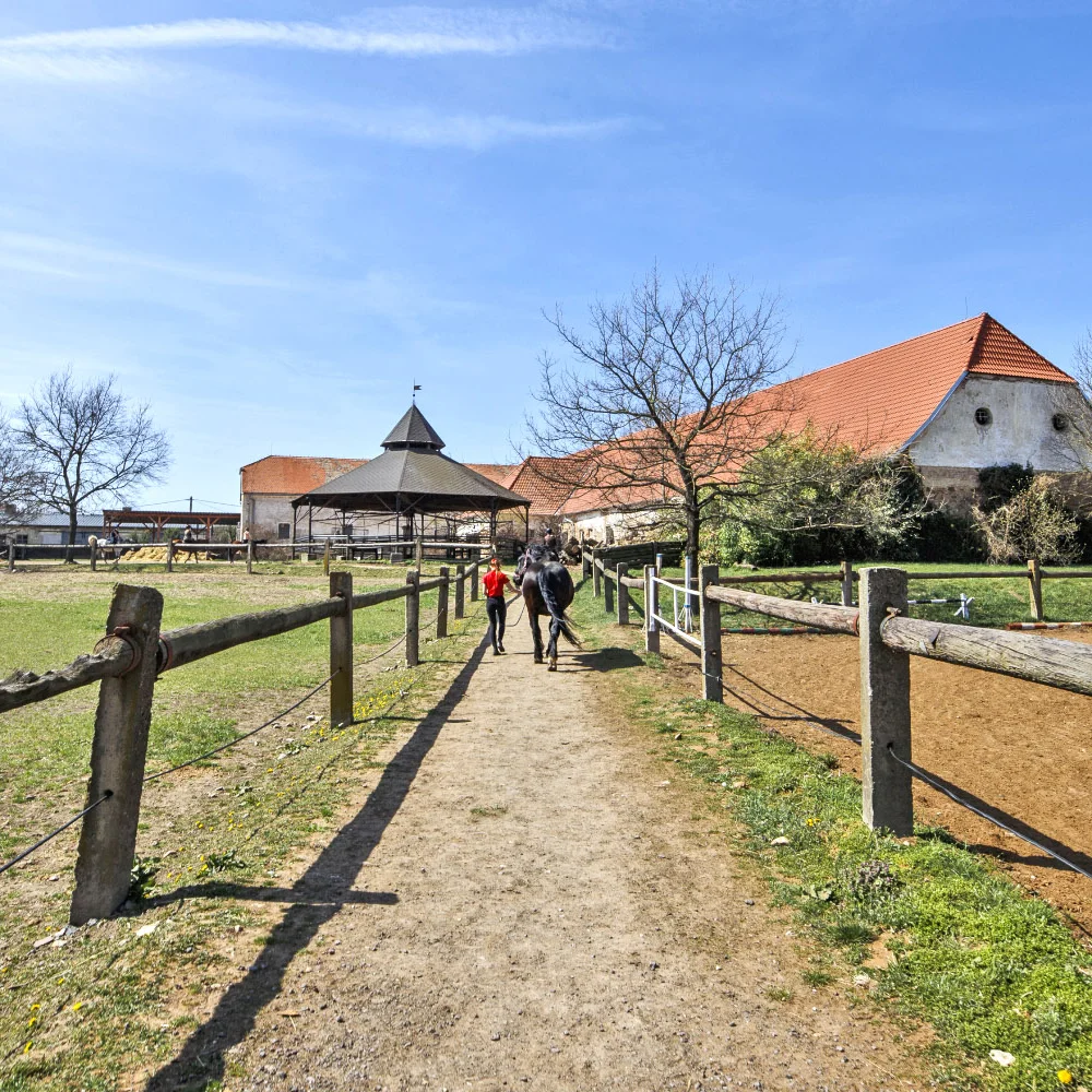 Farma u Znojma: strava i projížďka na koni či v kočáře - Obrázek 2