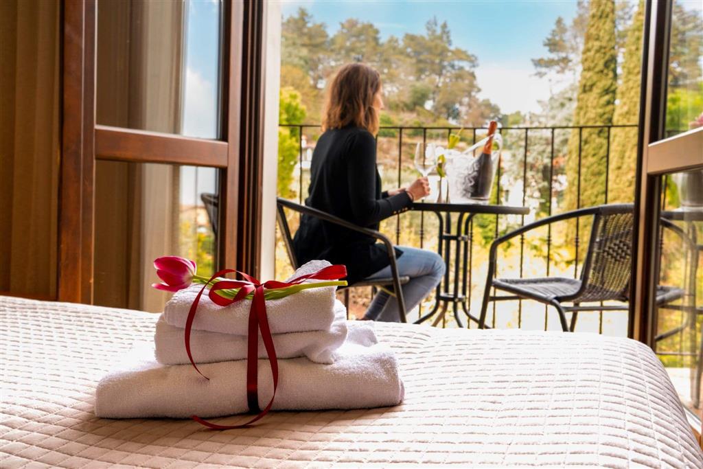 Hotel AHG Donna Silvia Wellness & SPA - Obrázek 7