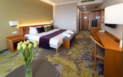 Zalakaros: Hotel Karos Spa **** s termálním wellness se 6 bazény, polopenzí a dětským klubem s animacemi - Obrázek 3