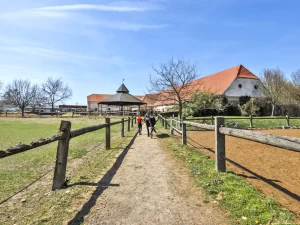 Farma u Znojma: strava i projížďka na koni či v kočáře