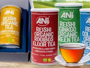 Čaje s léčivou houbou Reishi: zázvor, máta i heřmánek