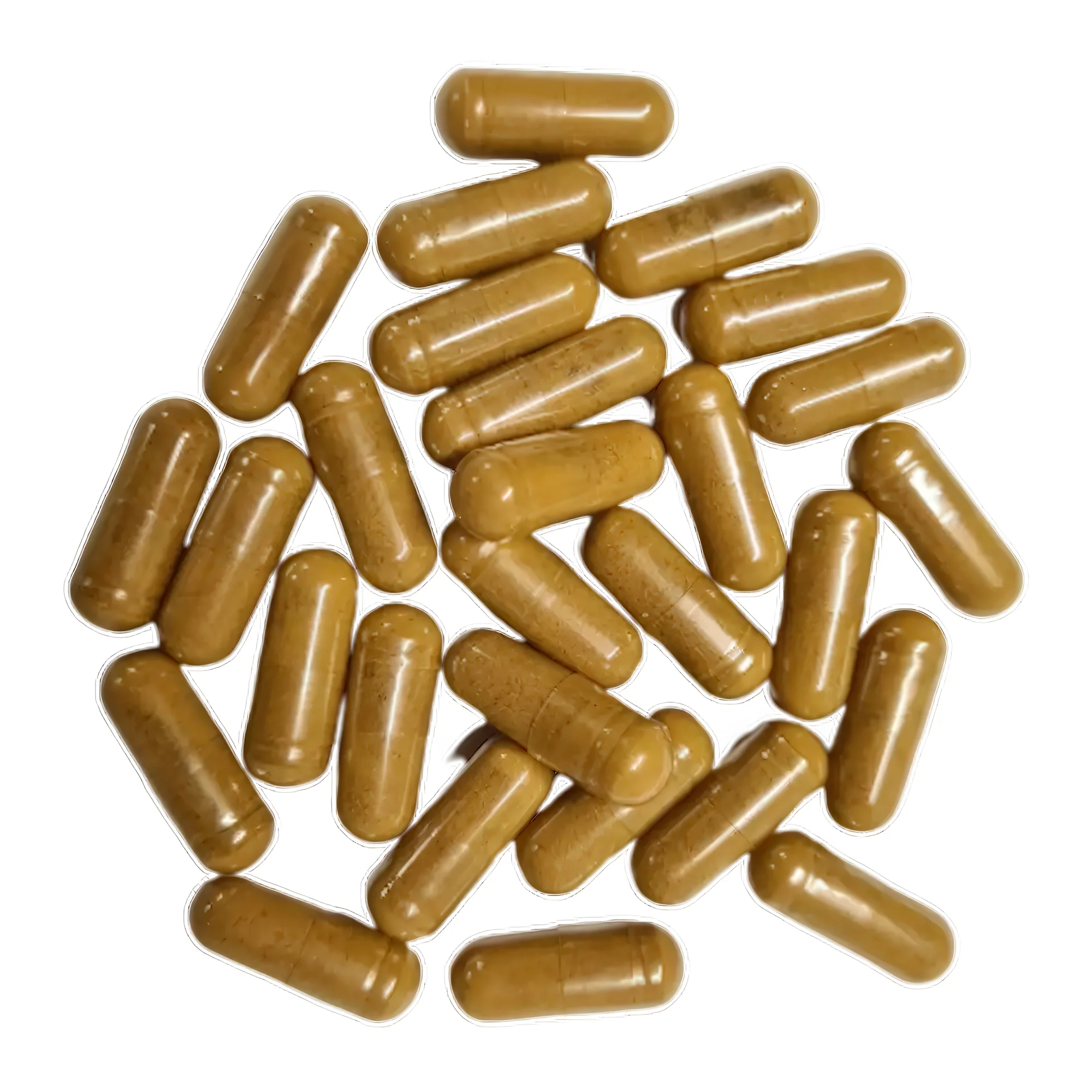 Bylinné kapsle na imunitu, detox, energii i trávení - Obrázek 4