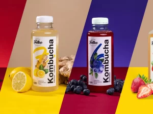 Kombucha na imunitu i trávení: 6-12 500ml lahvinek