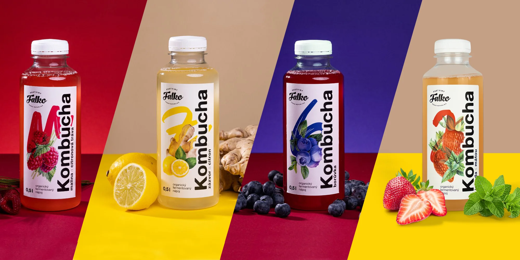 Kombucha na imunitu i trávení: 6-12 500ml lahvinek