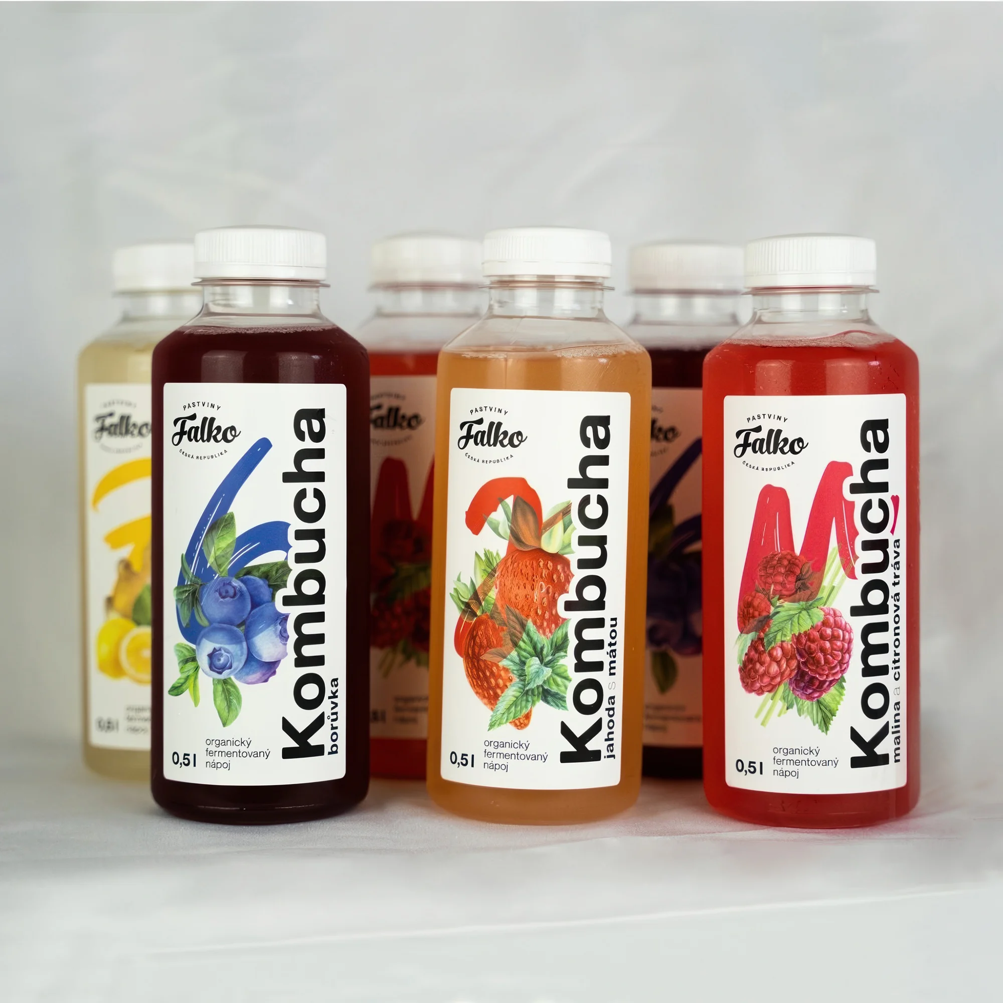 Kombucha na imunitu i trávení: 6-12 500ml lahvinek - Obrázek 2