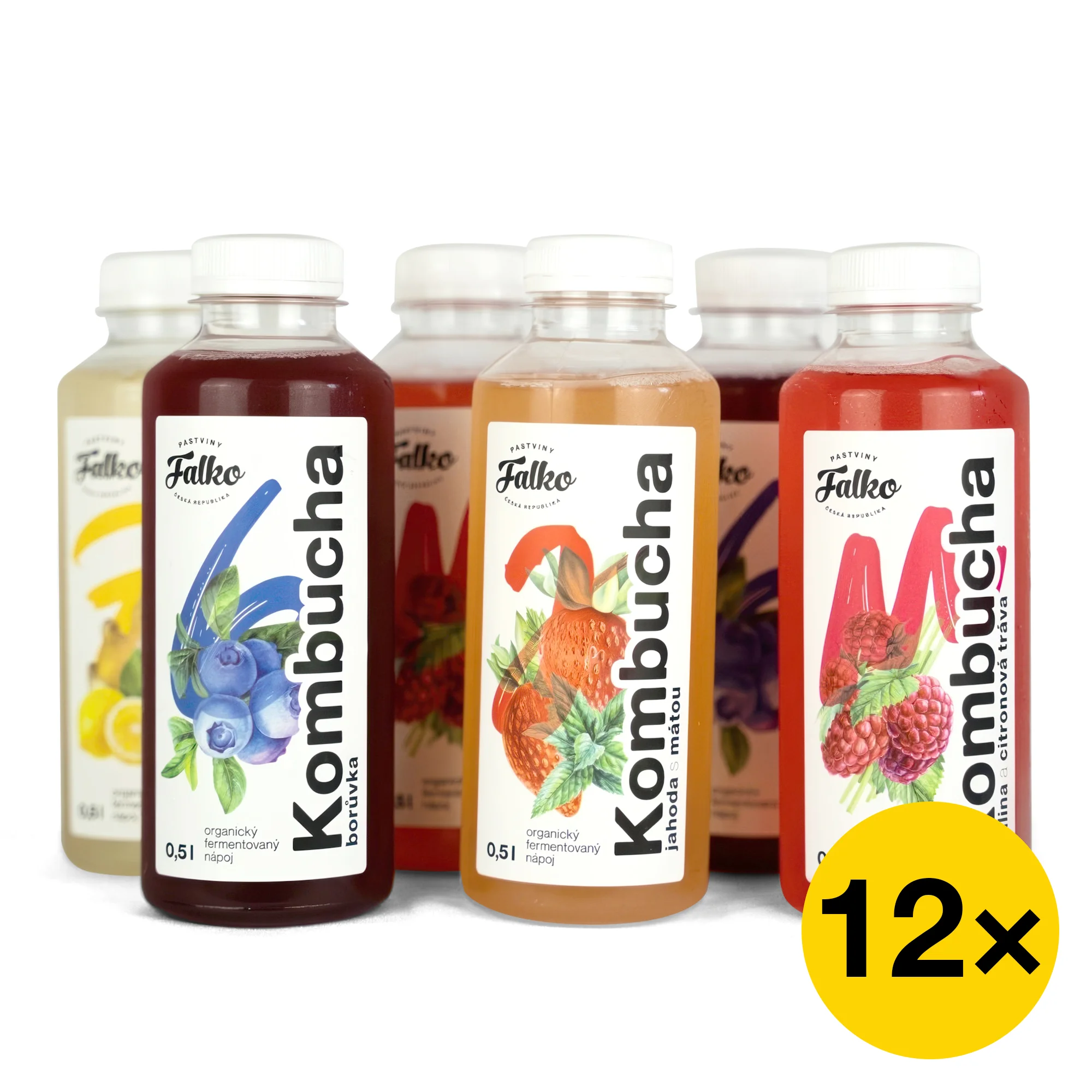 Kombucha na imunitu i trávení: 6-12 500ml lahvinek - Obrázek 8