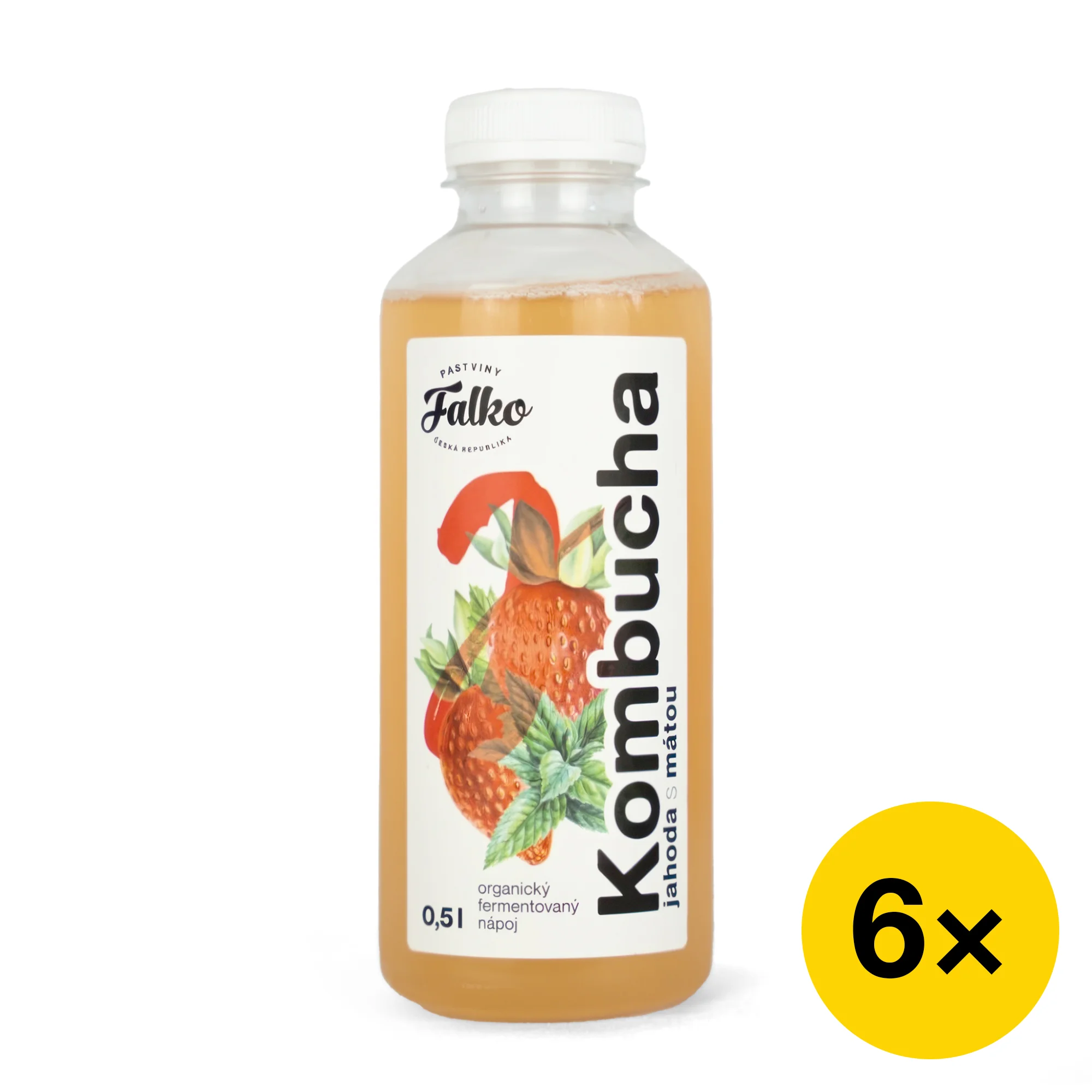 Kombucha na imunitu i trávení: 6-12 500ml lahvinek - Obrázek 3