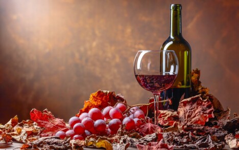 Jižní Morava: Dovolená u zámku Valtice v Penzionu Rendezvous se snídaní nebo polopenzí a welcome drinkem - Obrázek 5