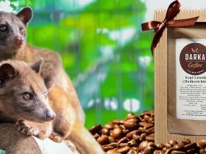 Cibetková káva: zrnková, najemno i na espresso