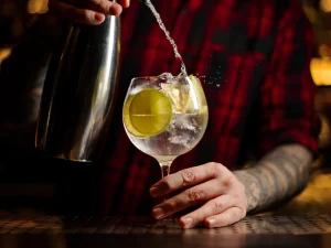 Degustace či kurz pečlivě vybraných ginů pro 1 i 2 os.