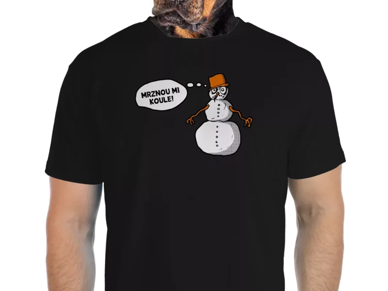Vtipné tričko Bastard: Mrznou mi koule
