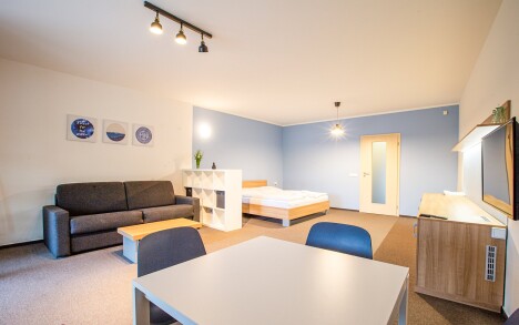 Orlické hory v Hotelu Říčky *** se snídaněmi formou bufetu, bazénem, vířivkou a saunou + láhev vína a slevy - Obrázek 4