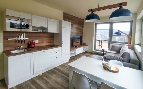 Orlické hory v Hotelu Říčky *** se snídaněmi formou bufetu, bazénem, vířivkou a saunou + láhev vína a slevy - Obrázek 9