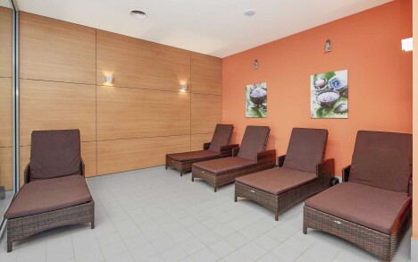 Orlické hory v Hotelu Říčky *** se snídaněmi formou bufetu, bazénem, vířivkou a saunou + láhev vína a slevy - Obrázek 8