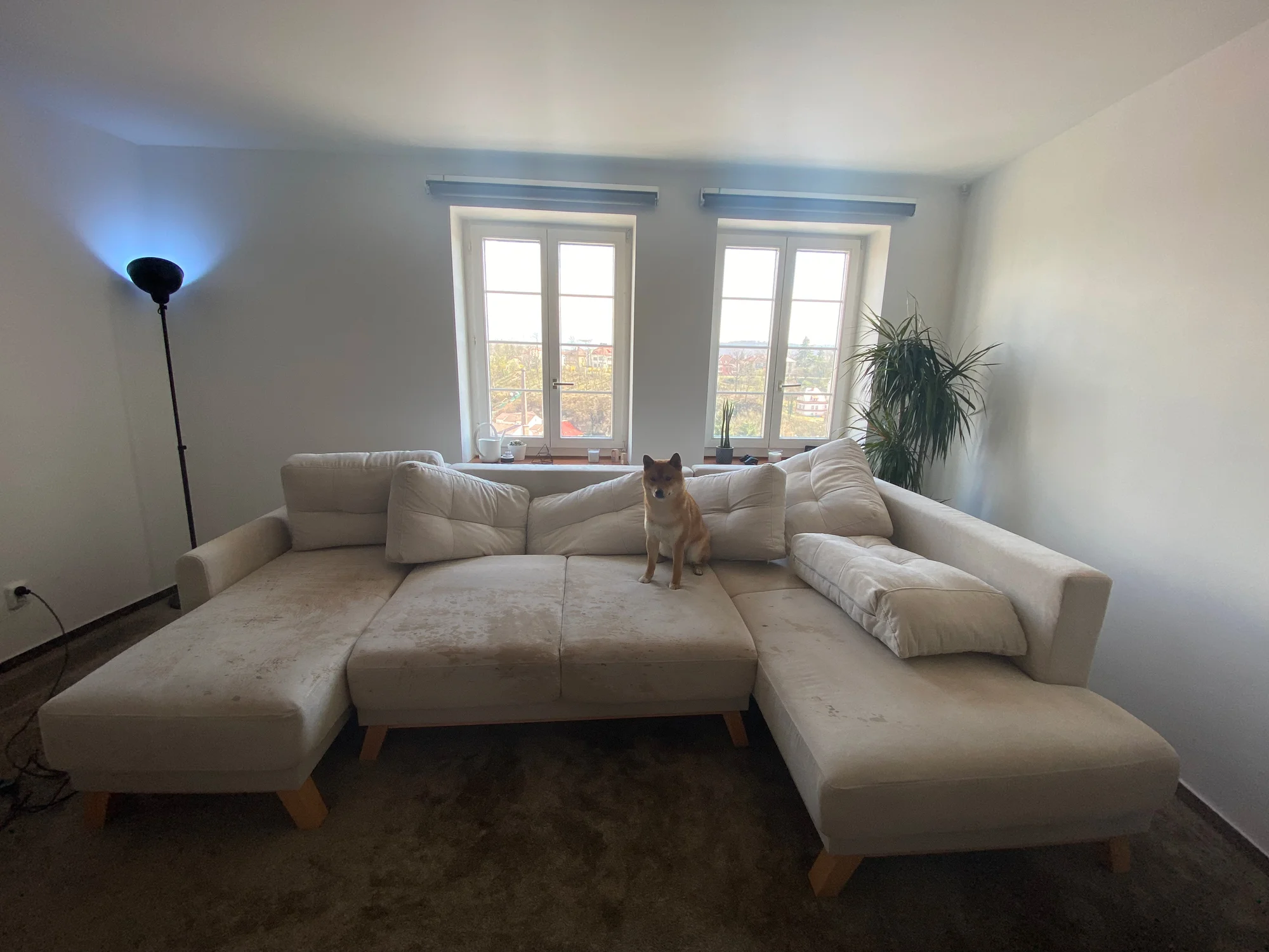 Profesionální čištění sedaček i koberců do 50 m² - Obrázek 4