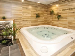 Pobyt nedaleko Konopiště s polopenzí a wellness