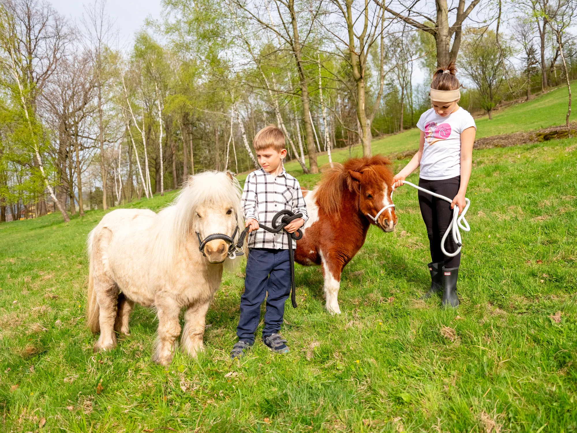 Procházka s kozou či poníkem nebo prohlídka farmy - Obrázek 8