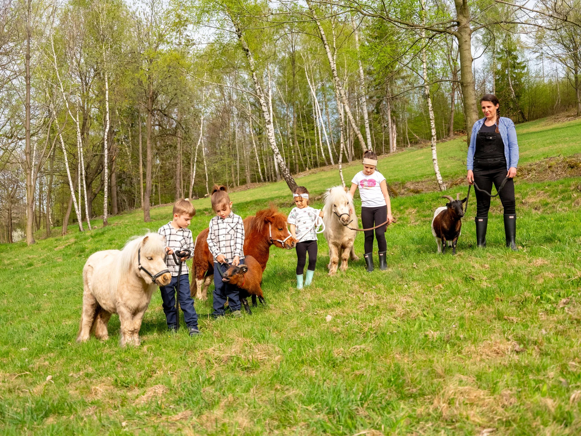 Procházka s kozou či poníkem nebo prohlídka farmy - Obrázek 7